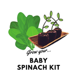 Grow Your Baby Spinach: Organic Seeds & Kits - Mucky Knees Gift Boutique