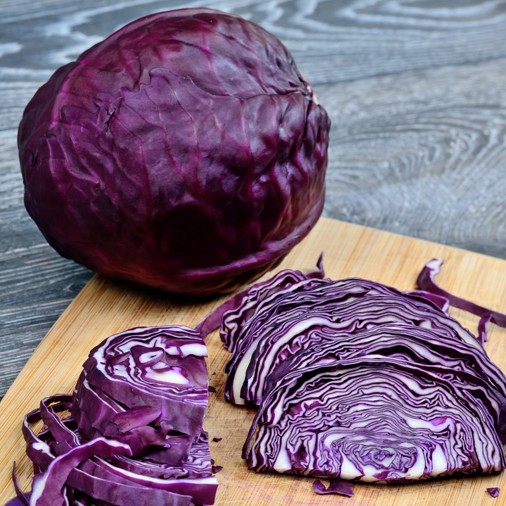 Growing Red Cabbage