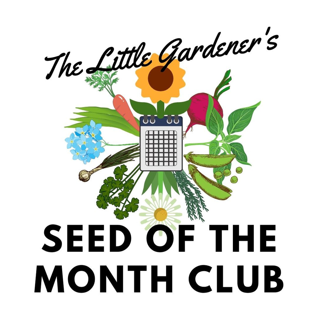 Seed of the Month: October