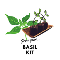 Grow Your Basil: Organic Seeds & Kits - Mucky Knees Gift Boutique