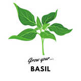 Grow Your Basil: Organic Seeds - Mucky Knees Gift Boutique