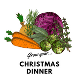 Grow Your Christmas Dinner! Organic Seeds - Mucky Knees Gift Boutique