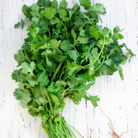 Grow Your Coriander: Organic Seeds - Mucky Knees Gift Boutique