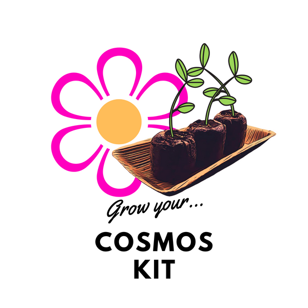 Grow Your Cosmos: Seeds & Kits - Mucky Knees Gift Boutique