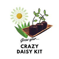 Grow Your Crazy Daisy: Seeds & Kits - Mucky Knees Gift Boutique