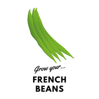 Grow Your French Beans: Organic Seeds - Mucky Knees Gift Boutique