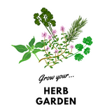 Grow Your Herb Garden: Organic Seeds - Mucky Knees Gift Boutique