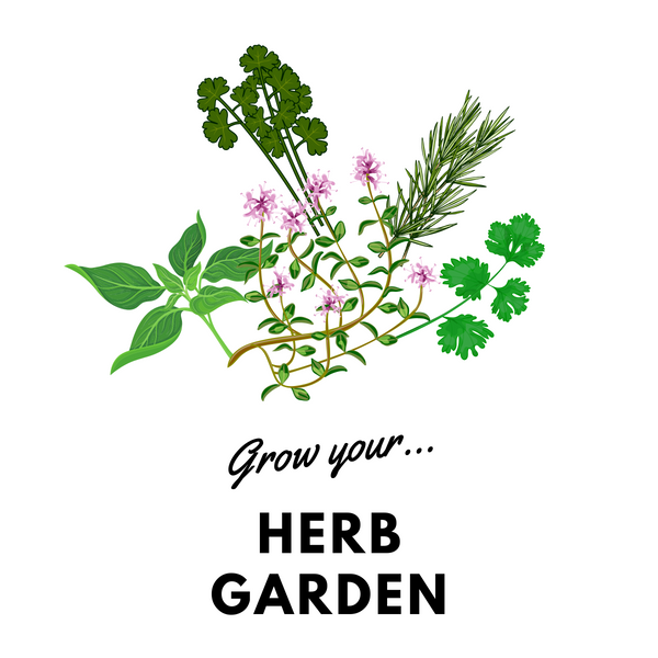 Grow Your Herb Garden: Organic Seeds - Mucky Knees Gift Boutique