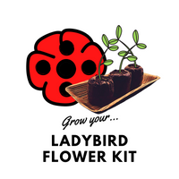 Grow Your Ladybird Flower: Seeds & Kits - Mucky Knees Gift Boutique