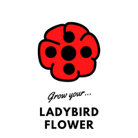 Grow Your Ladybird Flower: Seeds - Mucky Knees Gift Boutique