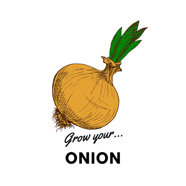 Grow Your Onion: Organic Seeds - Mucky Knees Gift Boutique
