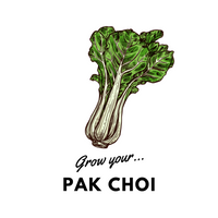 Grow Your Pak Choi: Organic Seeds - Mucky Knees Gift Boutique