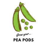 Grow Your Pea Pods: Organic Seeds - Mucky Knees Gift Boutique