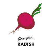 Grow Your Radish: Organic Seeds - Mucky Knees Gift Boutique