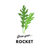 Grow Your Rocket: Organic Seeds - Mucky Knees Gift Boutique