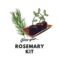 Grow Your Rosemary: Organic Seeds & Kits - Mucky Knees Gift Boutique