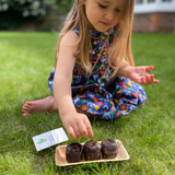 Grow Your Curly Parsley: Organic Seeds & Kits - Mucky Knees Gift Boutique