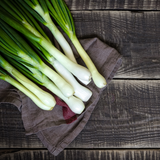Grow Your Spring Onion: Organic Seeds - Mucky Knees Gift Boutique