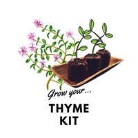 Grow Your Thyme: Organic Seeds - Mucky Knees Gift Boutique
