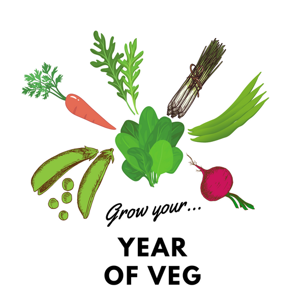 Grow Your Year of Veg: Organic Seed Collection - Mucky Knees Gift Boutique